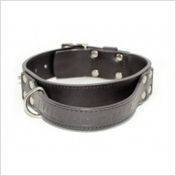 Collier cuir avec poignée bullrot - Dogzparadize