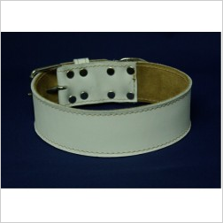 Collier cuir blanc - Dogzparadize
