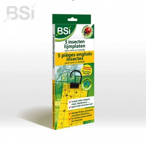 Piéges Englués insectes